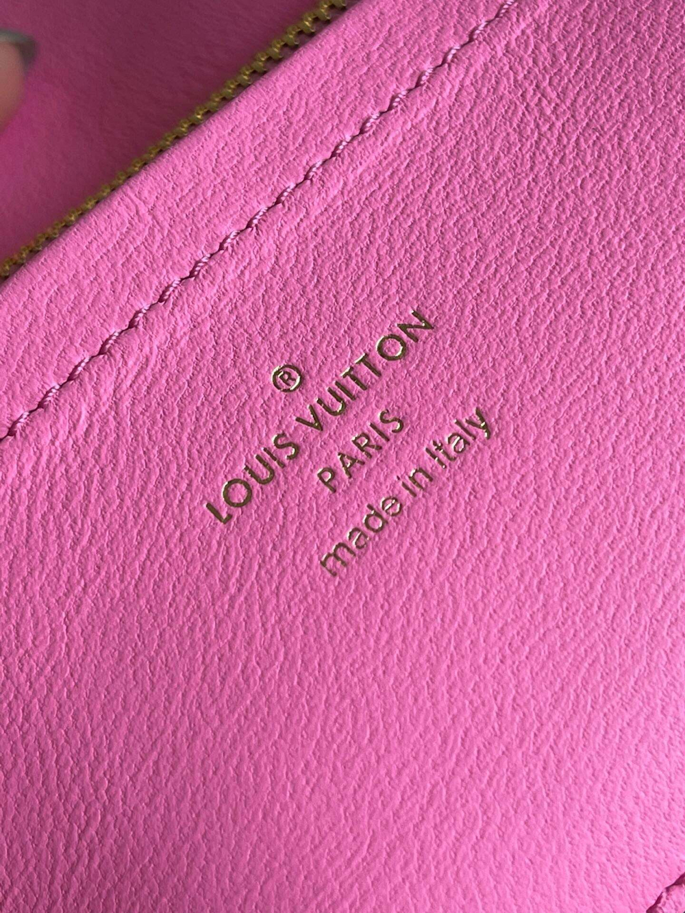 Louis Vuitton Pochette Coussin