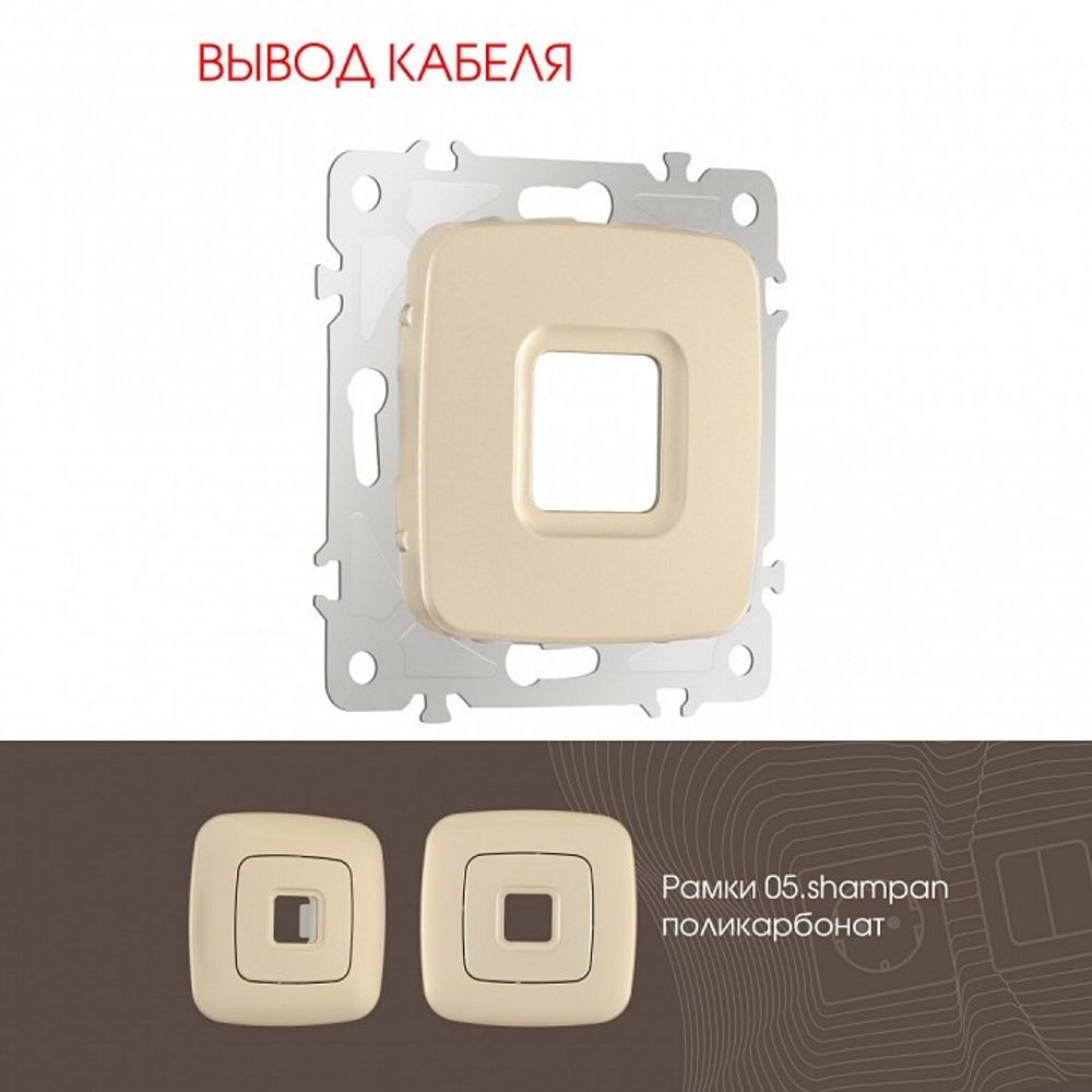 Розетка для вывод кабеля без рамки Arte Milano am-205 205.49-1.shampan