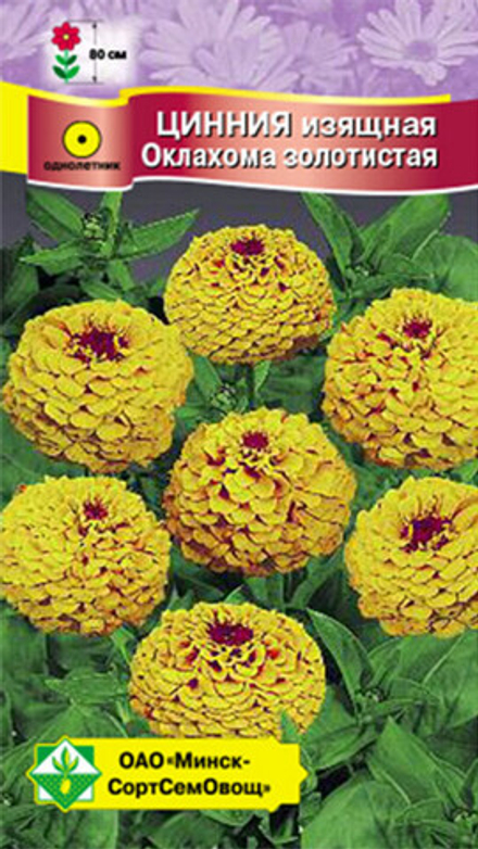 Цинния изящная "Оклахома Золотистая" 0.2г, Германия.