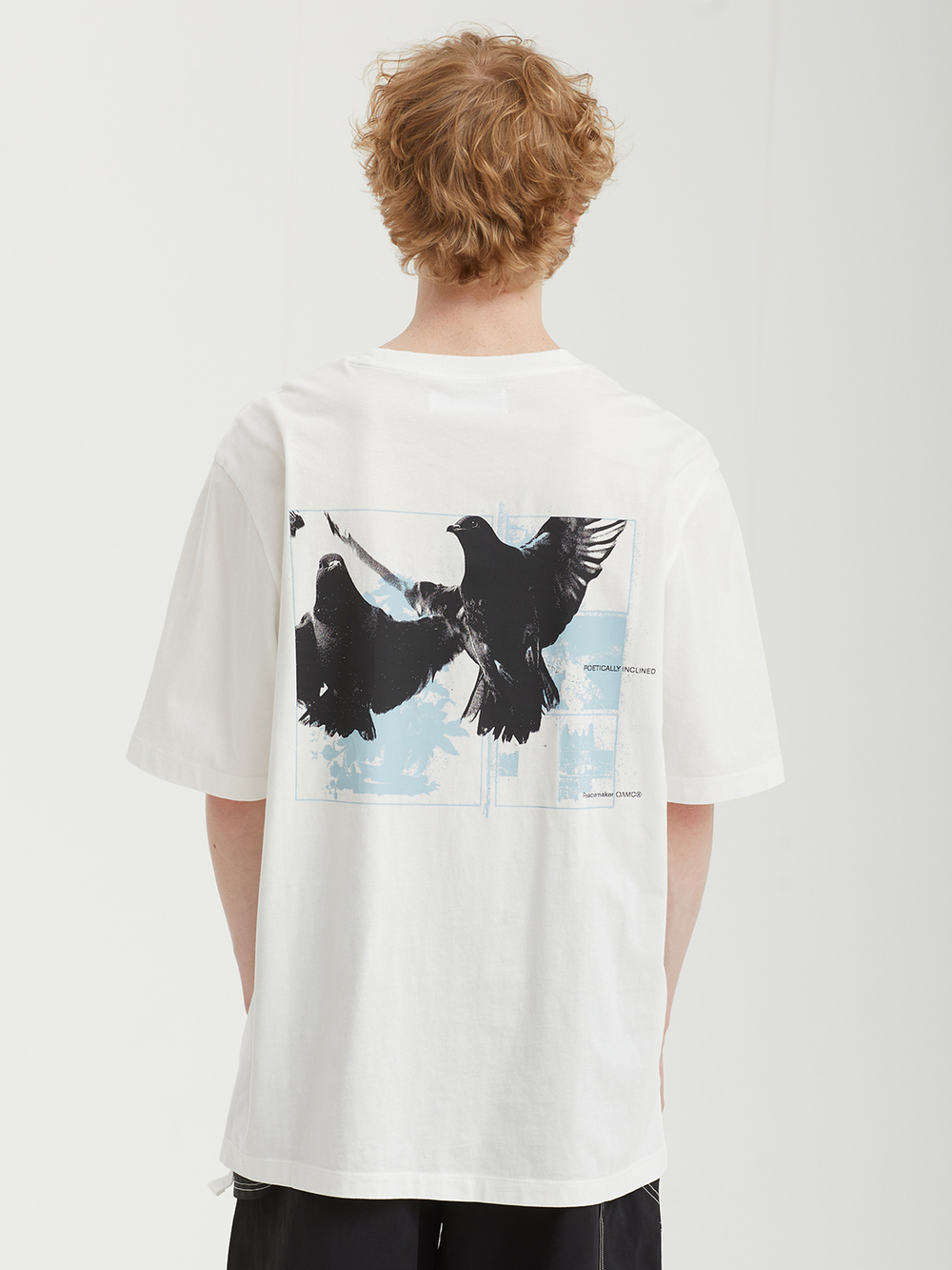 Мужская Футболка Regular Birds Print