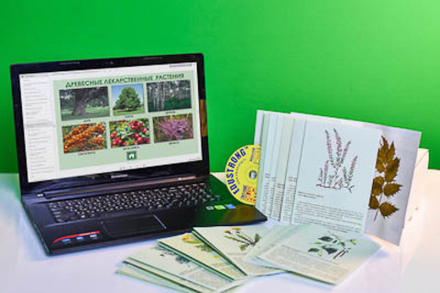 Гербарий натурально-интерактивный "Лекарственные растения"
