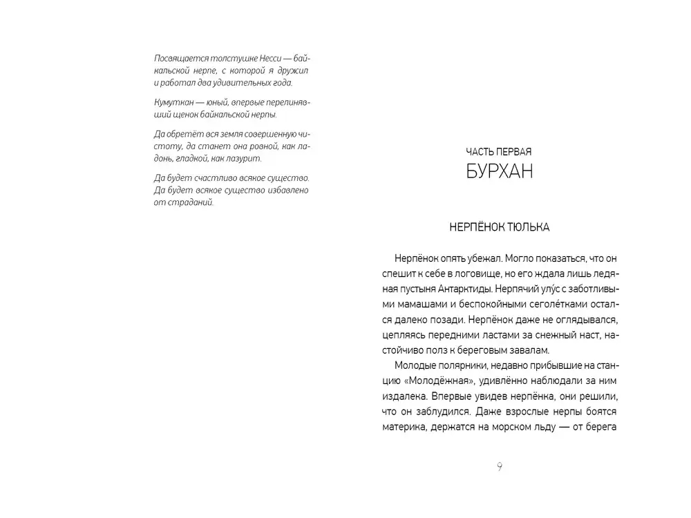 Куда уходит кумуткан. Брат мой Бзоу (сборник)