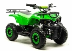 Электроквадроцикл Motoland ATV E009 1000W