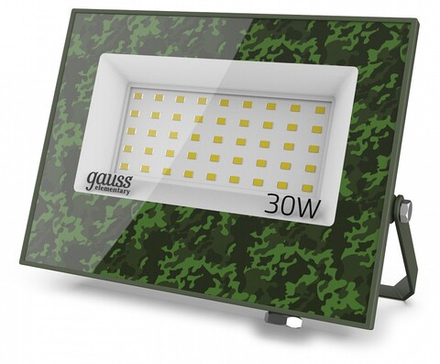 Настенно-потолочный прожектор Gauss  GFD003