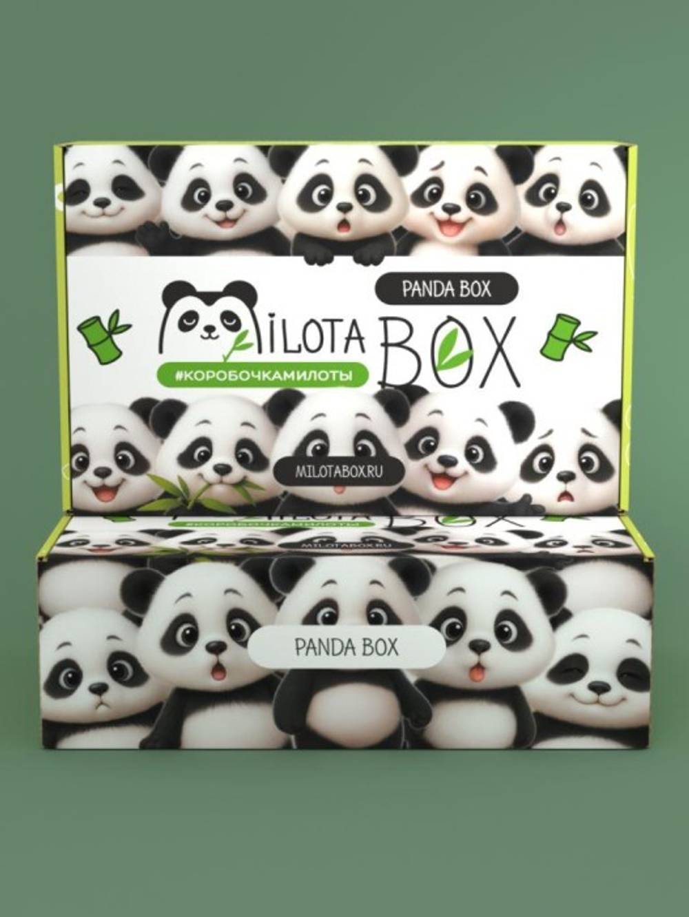 MilotaBox "Panda Box"