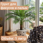 Авторский грунт для Фикусов и Пальм 2 литра