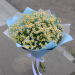 Букет живых цветов из ромашек Луговой