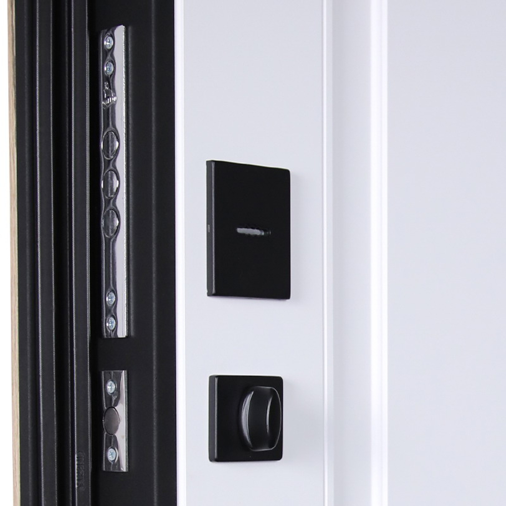 Стальная дверь "Britannia"  Заказная модель.