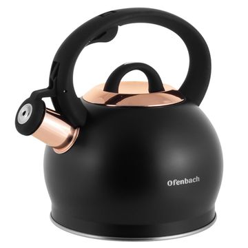 Чайник 2 л. из нержавеющей стали со свистком Ofenbach NB 100312