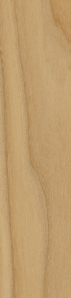 Italon Element Wood Olmo 20x120
