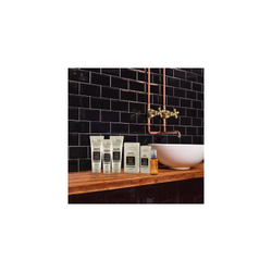 Alfaparf Milano Il Salone Plex - масло для обесцвеченных волос /  nadaje się również do włosów farbowanych 100  ml  / GTIN 8022297120867