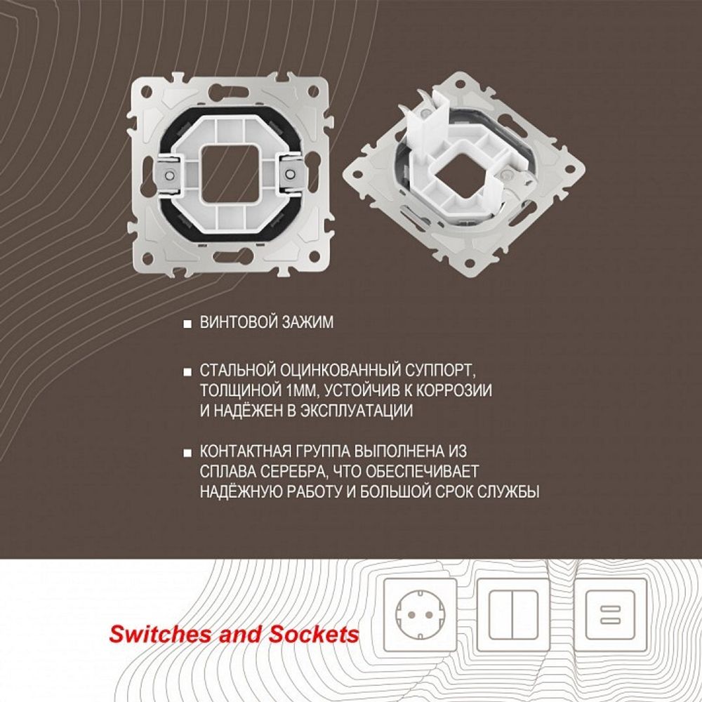 Розетка для вывод кабеля без рамки Arte Milano am-205 205.49-1.shampan
