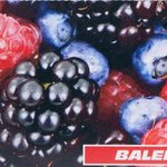 Balenciaga Cow Leather Card Holder Women"s Multicolor