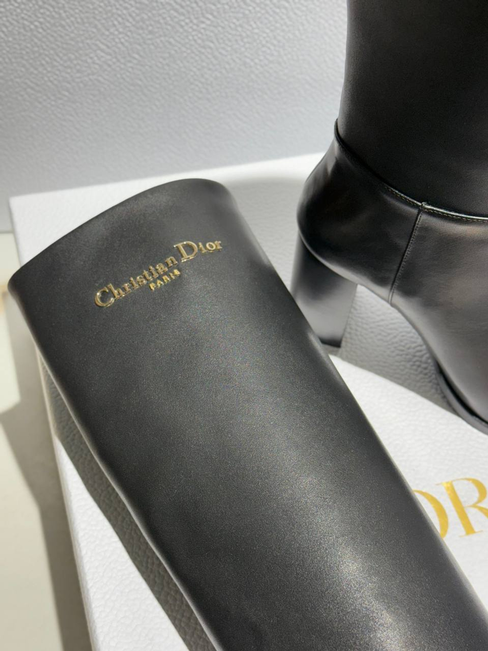 Сапоги Dior