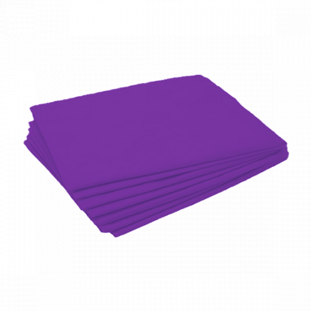 Простыня 200х90см Спанбонд 30г 10шт/поштучно