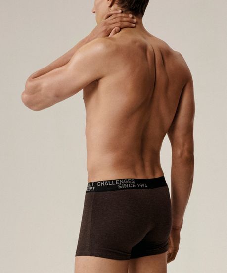 Трусы мужские боксеры (3шт), Atlantic 3MH-226, хлопок, темно-серый меланж + медно-багряный меланж + коричневый меланж