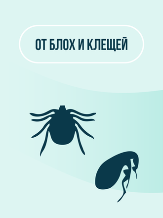 От блох и клещей