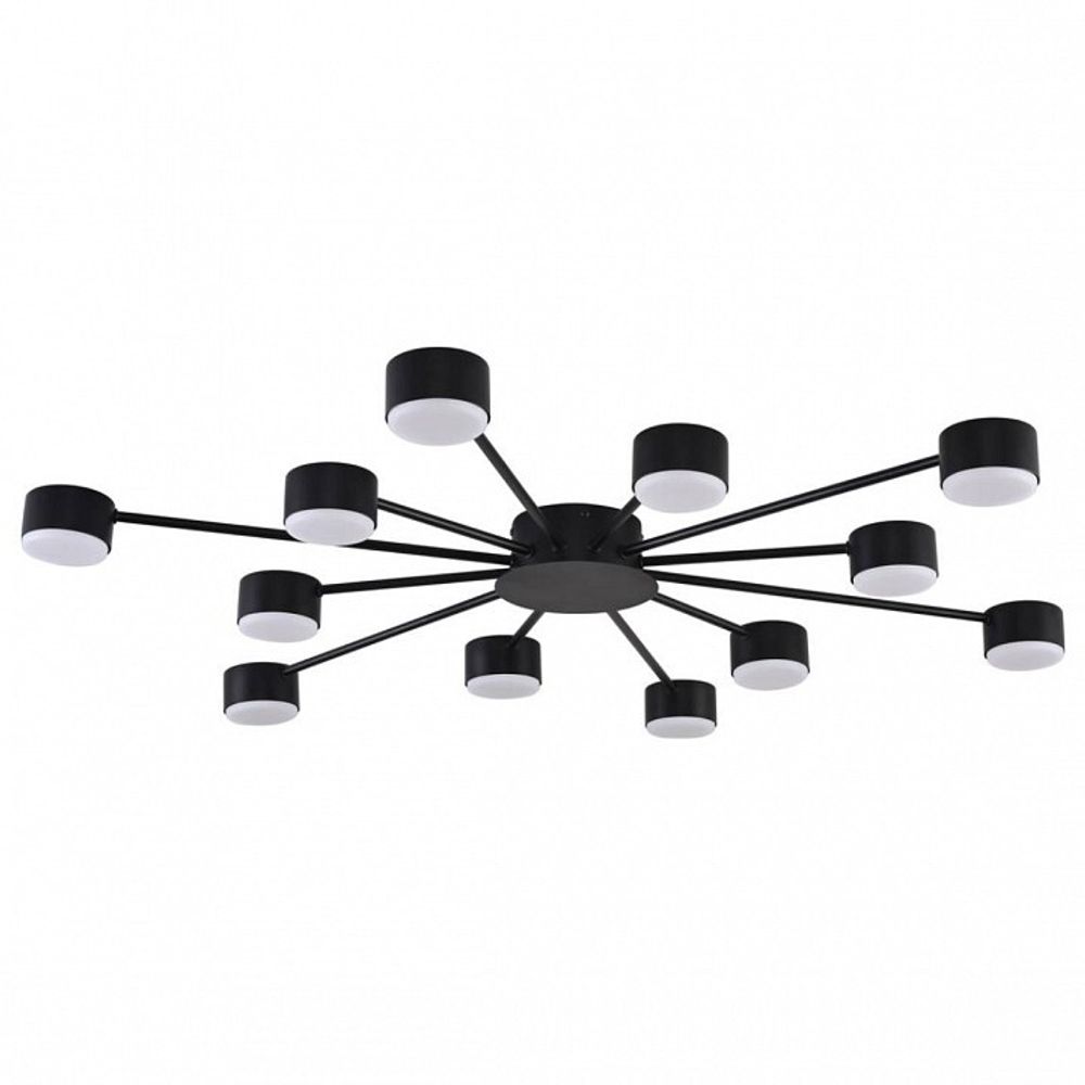 Потолочная люстра Lumion TORINA 8344/12C