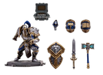 Фигурка World of Warcraft Human Warrior/Paladin