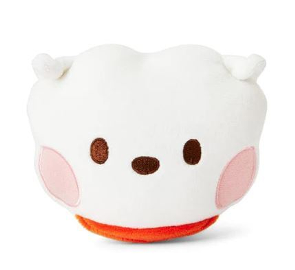 BT21 Cushion minini RJ