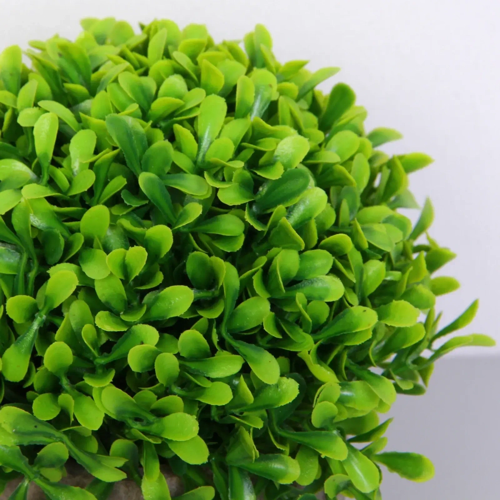 Цветочная композиция «Green garden» 10*12см в горшке, зелень