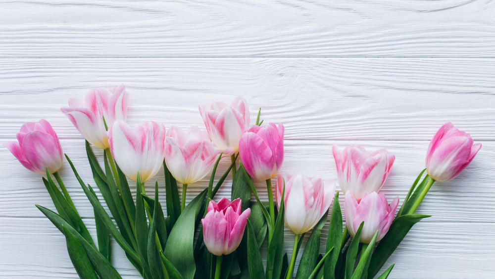 Цены тают: Акция "Весенний ледник": скидки до 30% на торговое и холодильное оборудование!