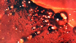 Микровелюр Xpoint (Икспоинт) 0043.01 Роза