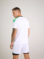 футболка спортивная город горький белый зеленый