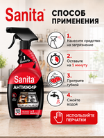 Чистящее средство для кухни Sanita 1 минута 500мл