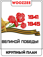 Наклейка автомобильная "Георгиевская лента с гвоздиками"