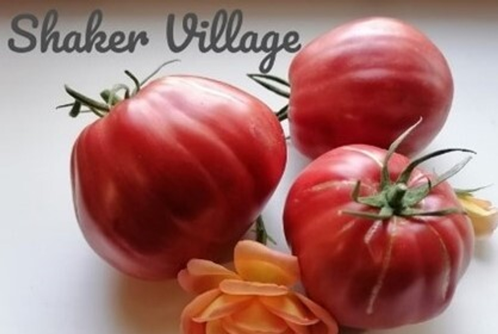 Деревенский шейкер Shaker Village