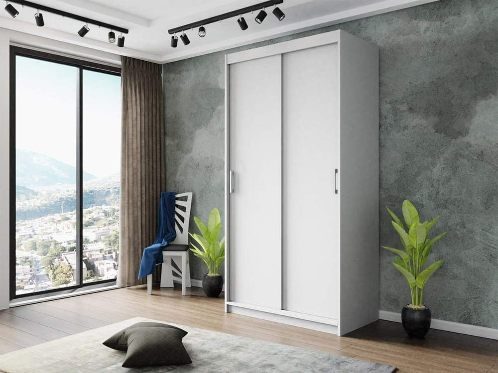 Шкаф-купе Ираида 2 Белый Фасадный 0101  120*60*220