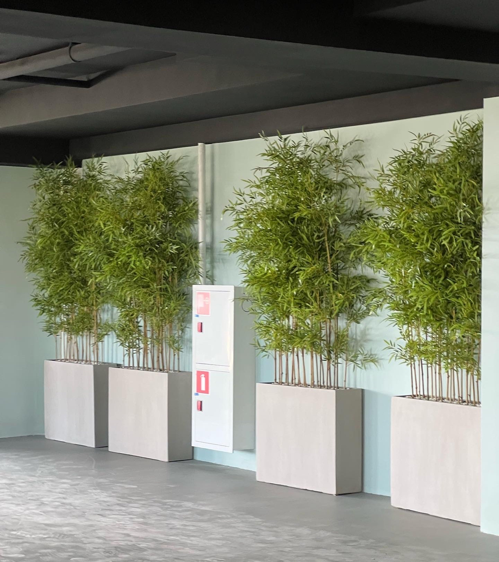 5.23. Искусственный бамбук в кашпо для ЖК «Development Plaza»