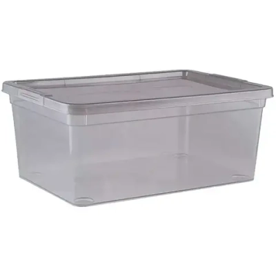 Контейнер универсальный с крышкой для хранения «MYSTERY» 25,9*18,2*10,6см, 3,5л