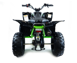 MOTAX ATV Pentora 110 cc черно-зеленый