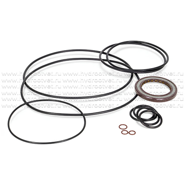 A2FO125 SEAL KIT - Комплект уплотнений (с манжетой 50x72x7 мм) для гидронасоса/гидромотора Rexroth A2FO125, A2FM125, A2FE125