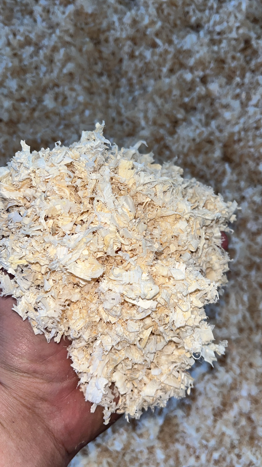 Сухая стружка древесная хвойная ель сосна 27 м3