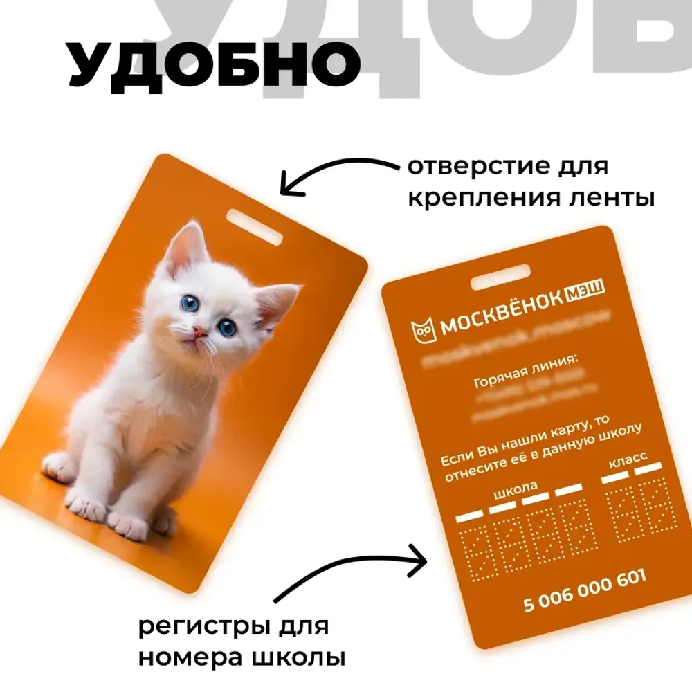 Карта Москвёнок CATS №10 (проход + питание)