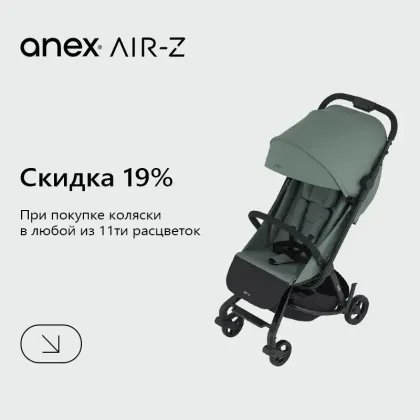 Скидка 19% на коляски Anex AIR-Z