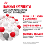 Royal Canin Mini Indoor Adult Мини Индор Эдалт Корм сухой для взрослых собак мелких пород в возрасте от 10 месяцев живущих в помещении 3кг