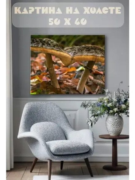 Картина на стену 40 X 50 Грибы