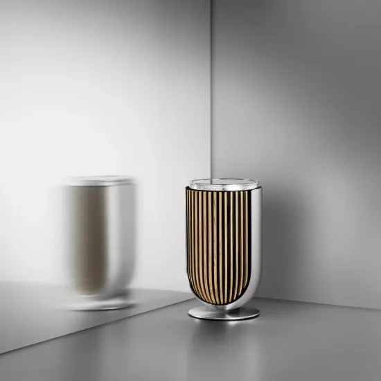 Bang & Olufsen Beolab 8 Silver/Oak, TS