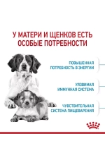 ROYAL CANIN MEDIUM STARTER MOTHER & BABYDOG(Роял Канин МЕДИУМ СТАРТЕР МАЗЕ ЭНД БЭБИДОГ) корм сухой для собак 20 кг.