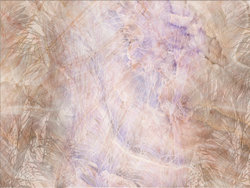 Коллекция WAVES