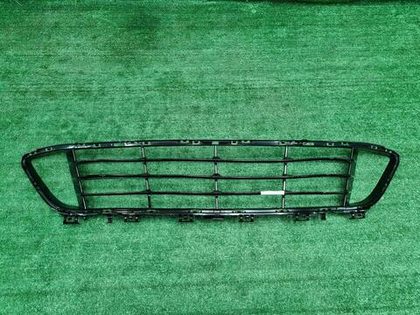 Решетка переднего бампера BMW X1 F48 (2015-2019)