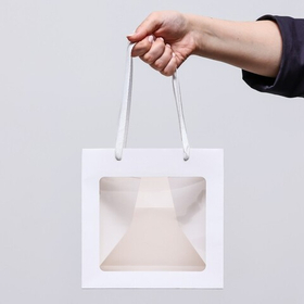 Пакет подарочный, крафт, с окном, «Белый», 20 х 20 х 20 см