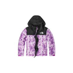 Куртка The North Face Jacket, NF0A3XEO-IAT