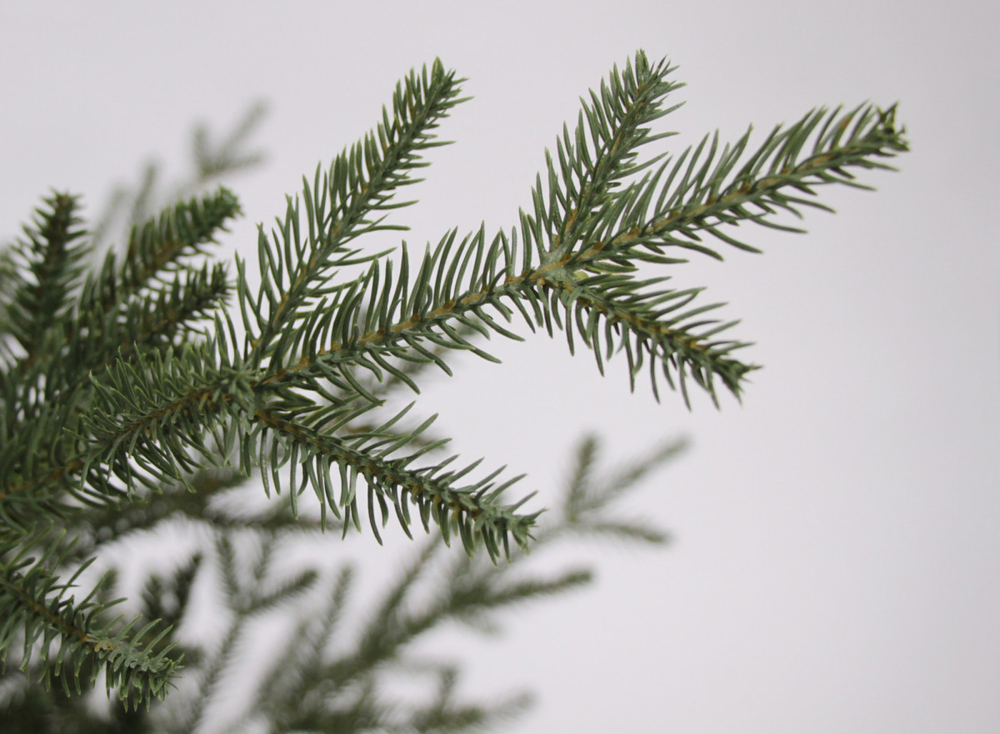 Ель Французская 155см 100% литая зеленая Black Box