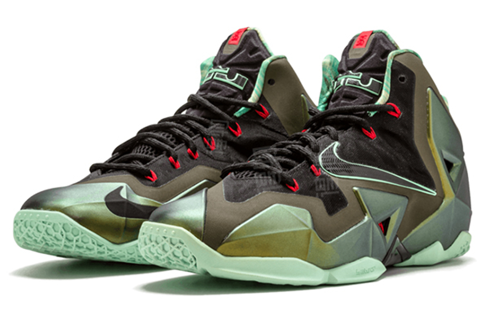 Кроссовки Nike Lebron 11 King'S Pride
