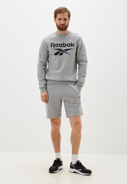 Толстовка мужская REEBOK RI BIG STACKED LOGO CREW